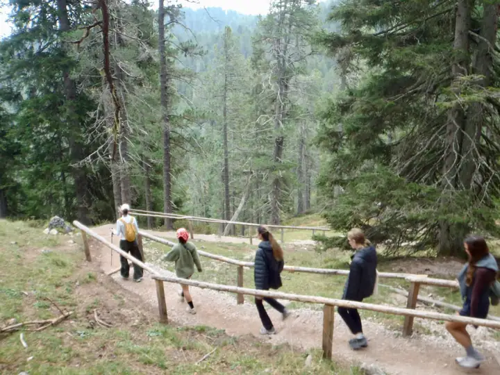 Hikers along a fenced forest path