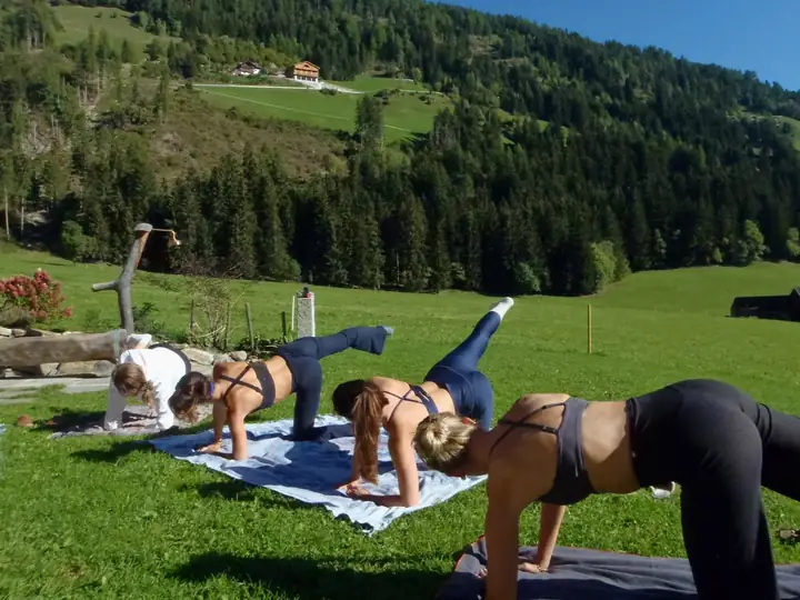 Group holding a plank on mats with mountains behind